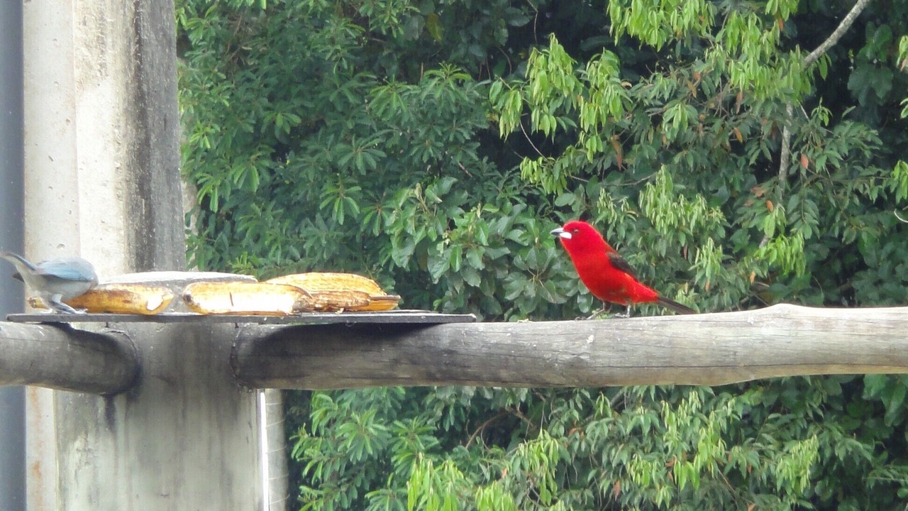 Photo of Outdoor in Praia Grande
