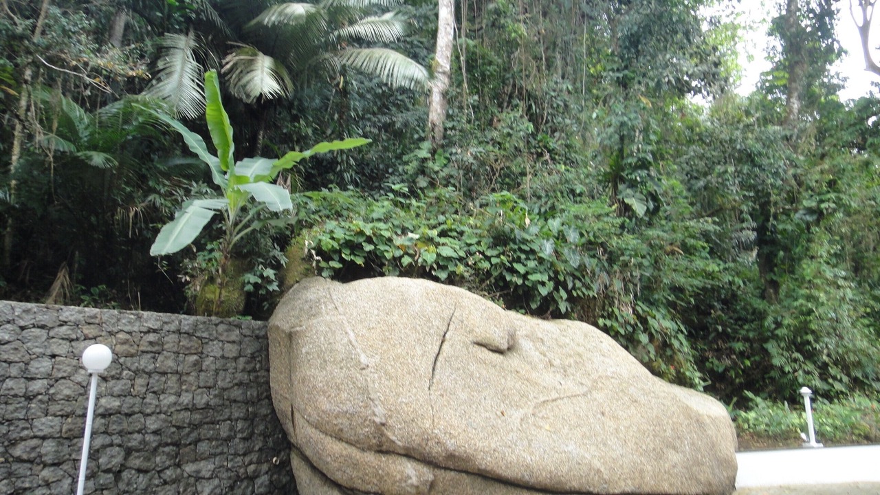 Photo of Outdoor in Praia Grande