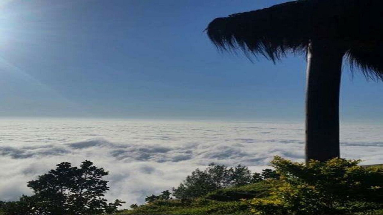 Photo of Others in Monteiro Lobato