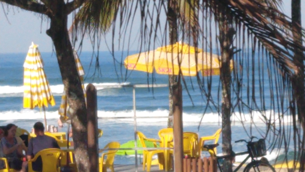 Photo of Others in Toninhas