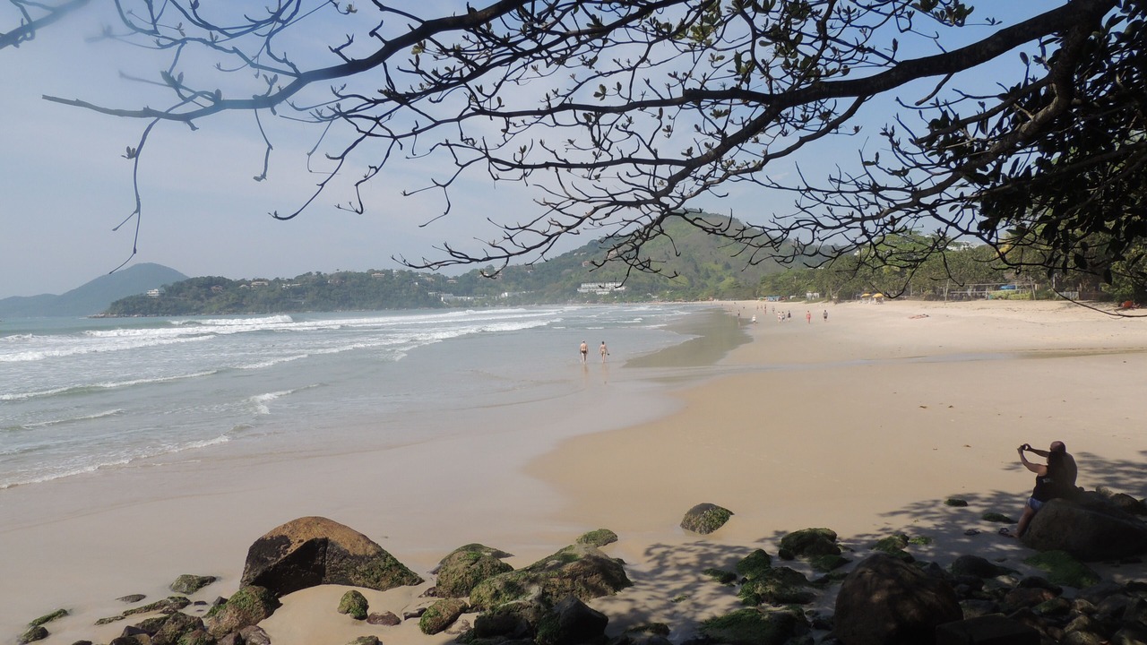 Photo of Others in Toninhas