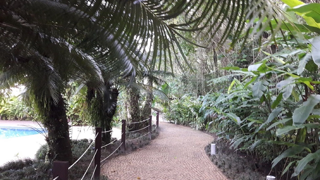 Photo of Outdoor in Barra do Una