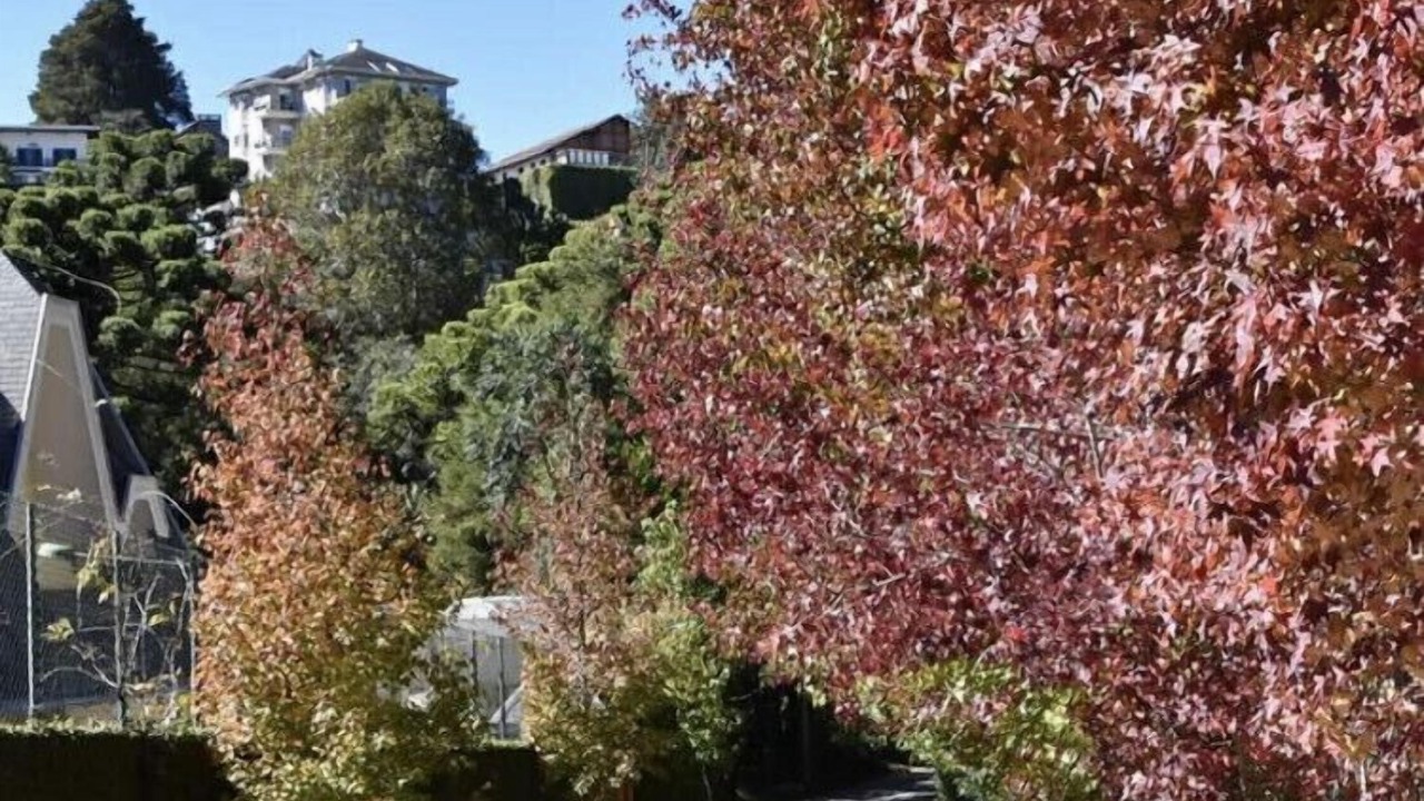 Photo of Outdoor in Vila Iara