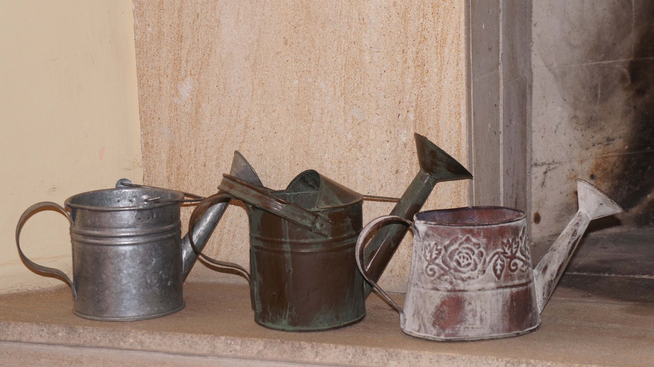 Photo of Kitchen in Vila Iara