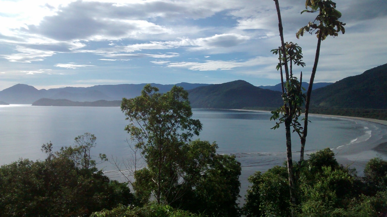 Photo of Others in Picinguaba
