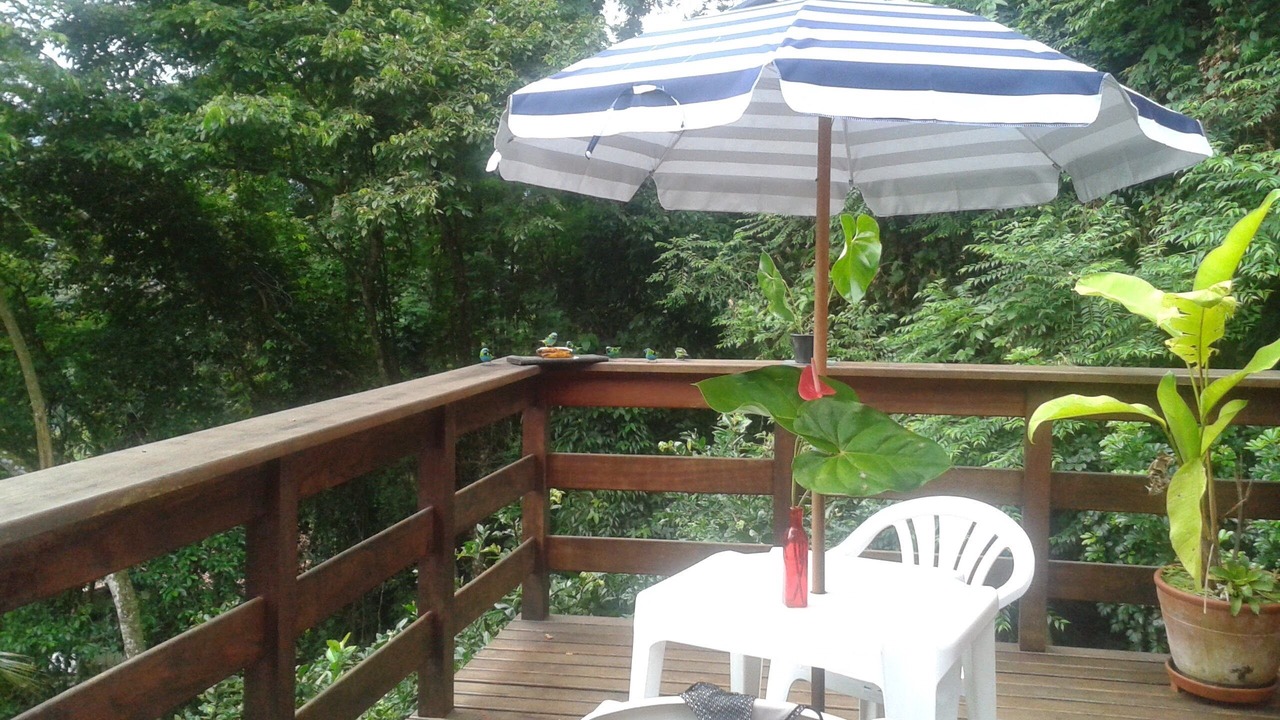 Photo of Outdoor in Picinguaba