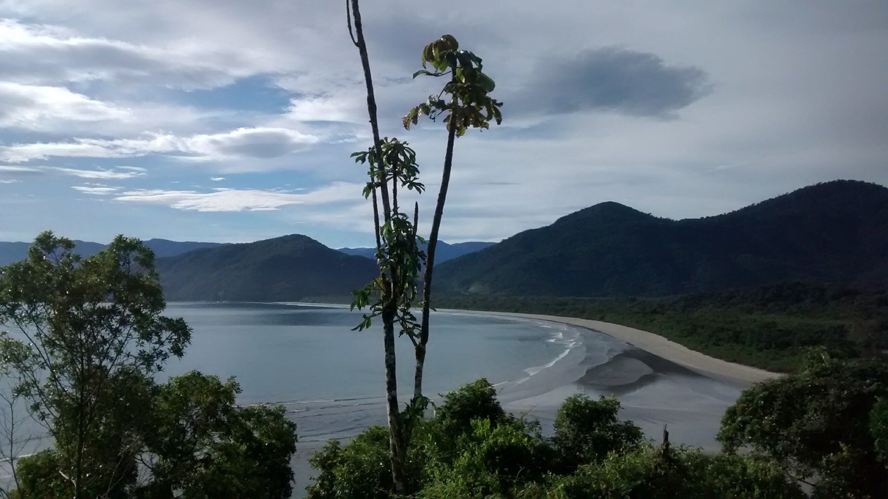 Photo of Others in Picinguaba