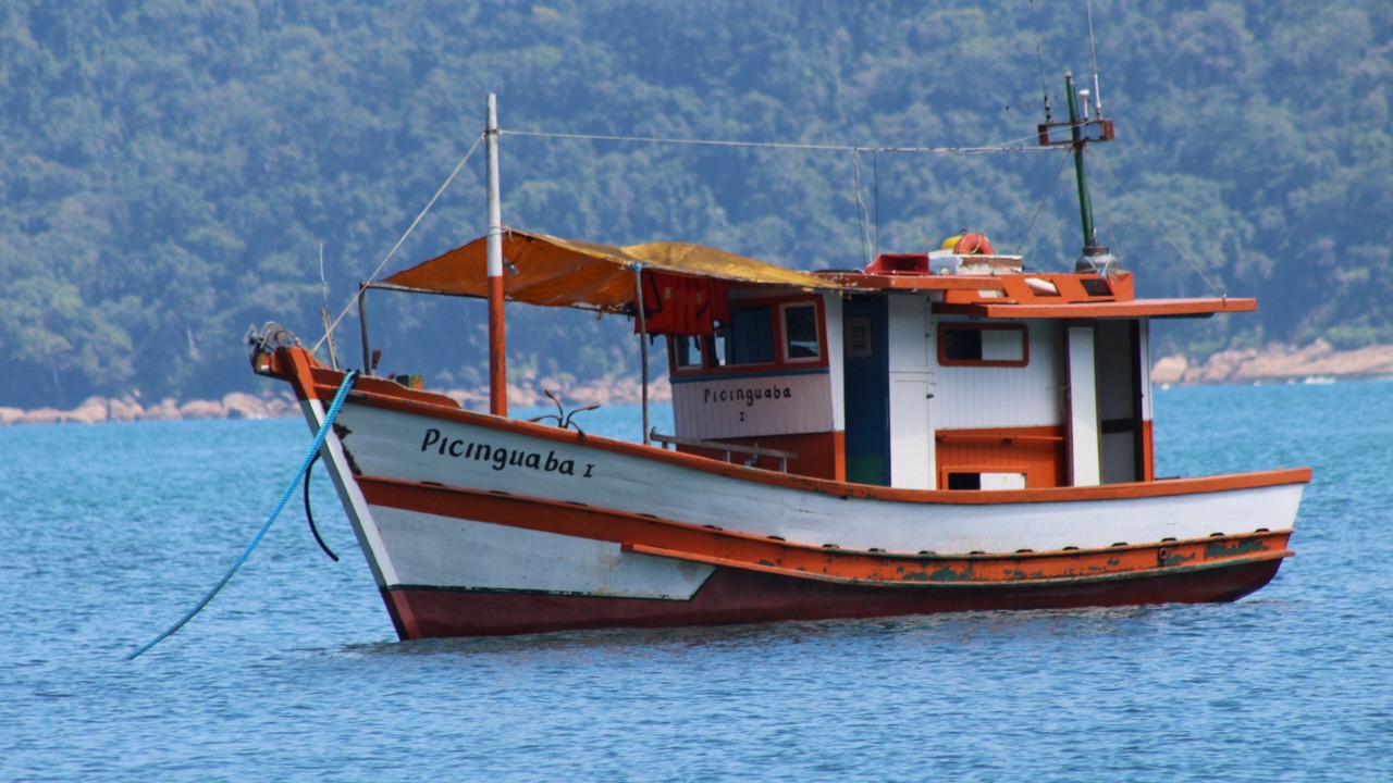 Photo of Others in Picinguaba