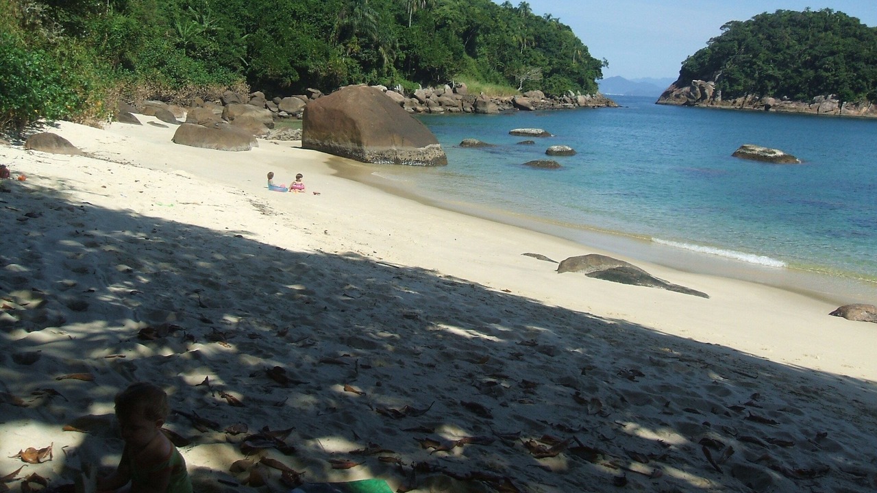 Photo of Others in Picinguaba