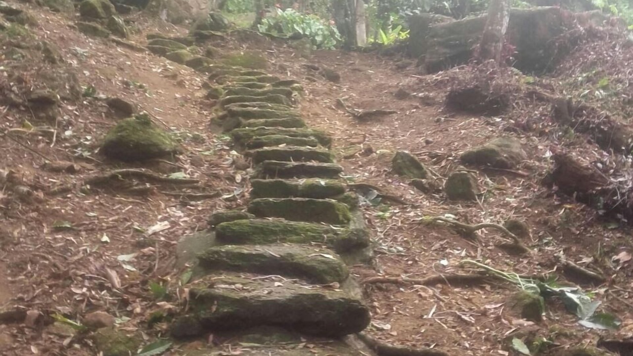 Photo of Outdoor in Picinguaba