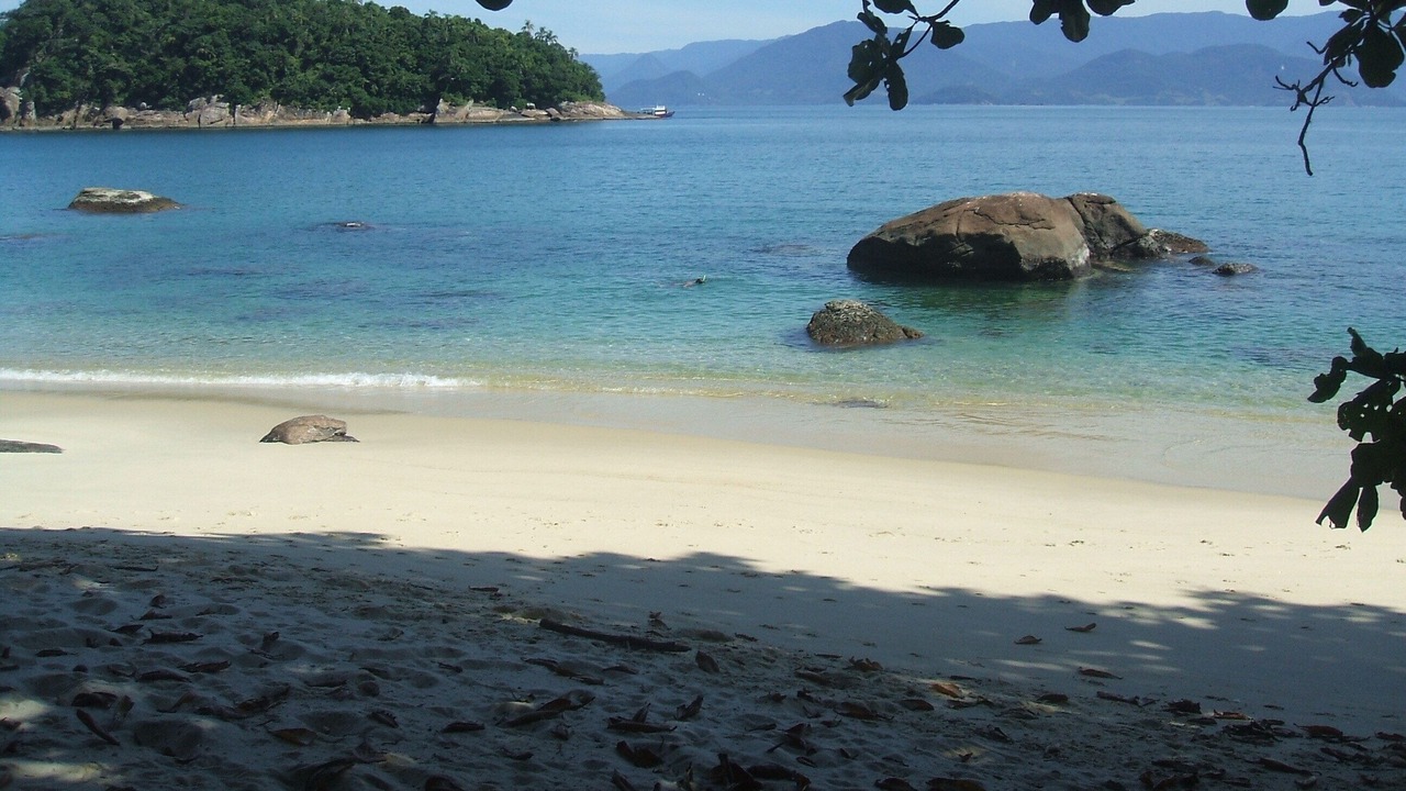 Photo of Others in Picinguaba