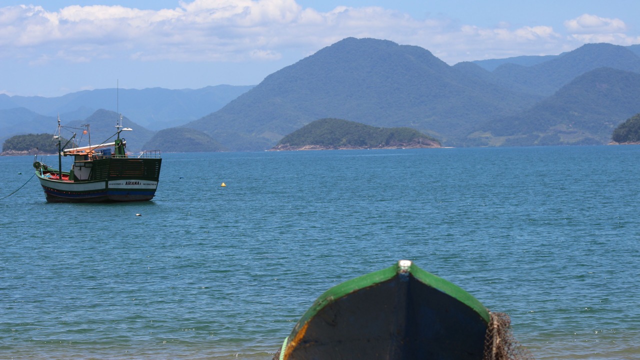 Photo of Others in Picinguaba