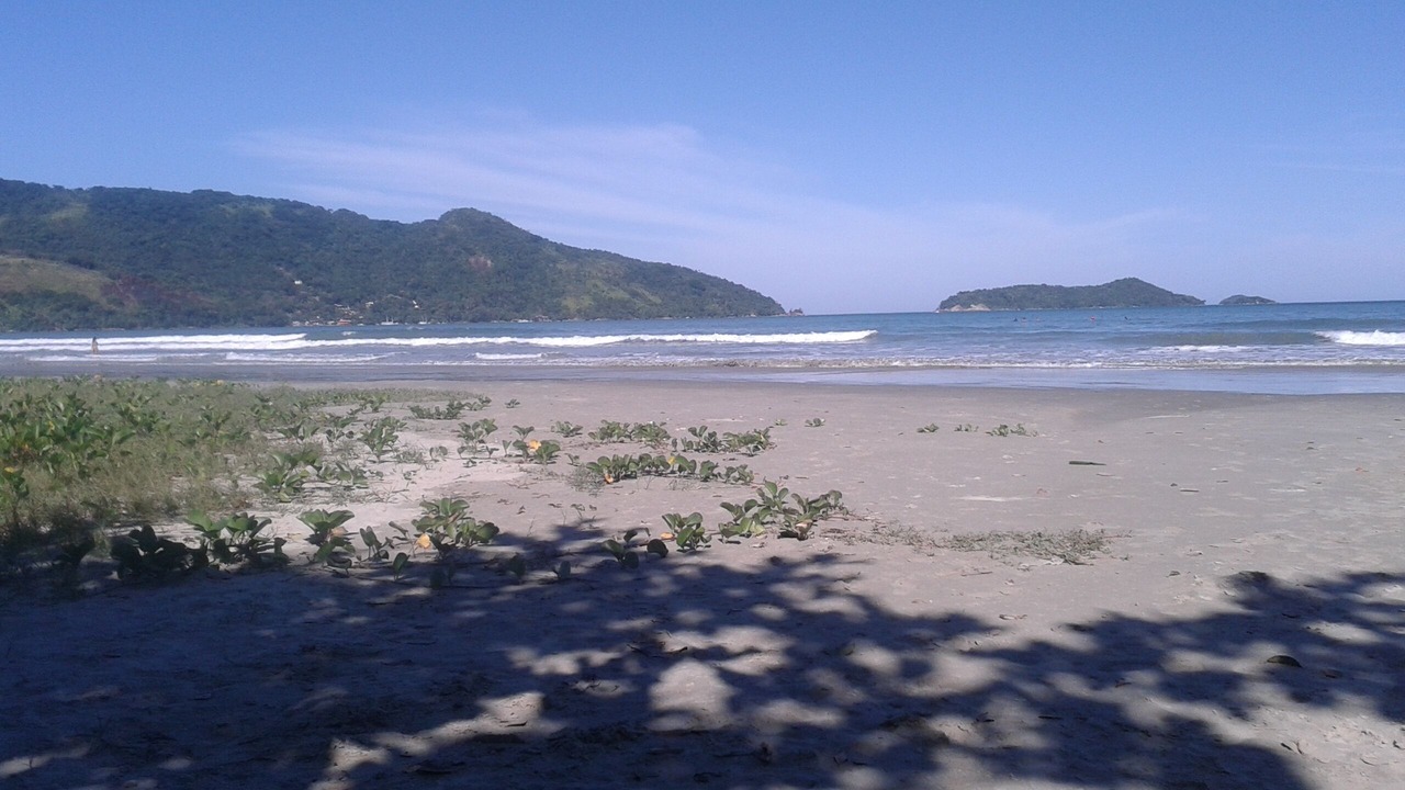 Photo of Others in Picinguaba