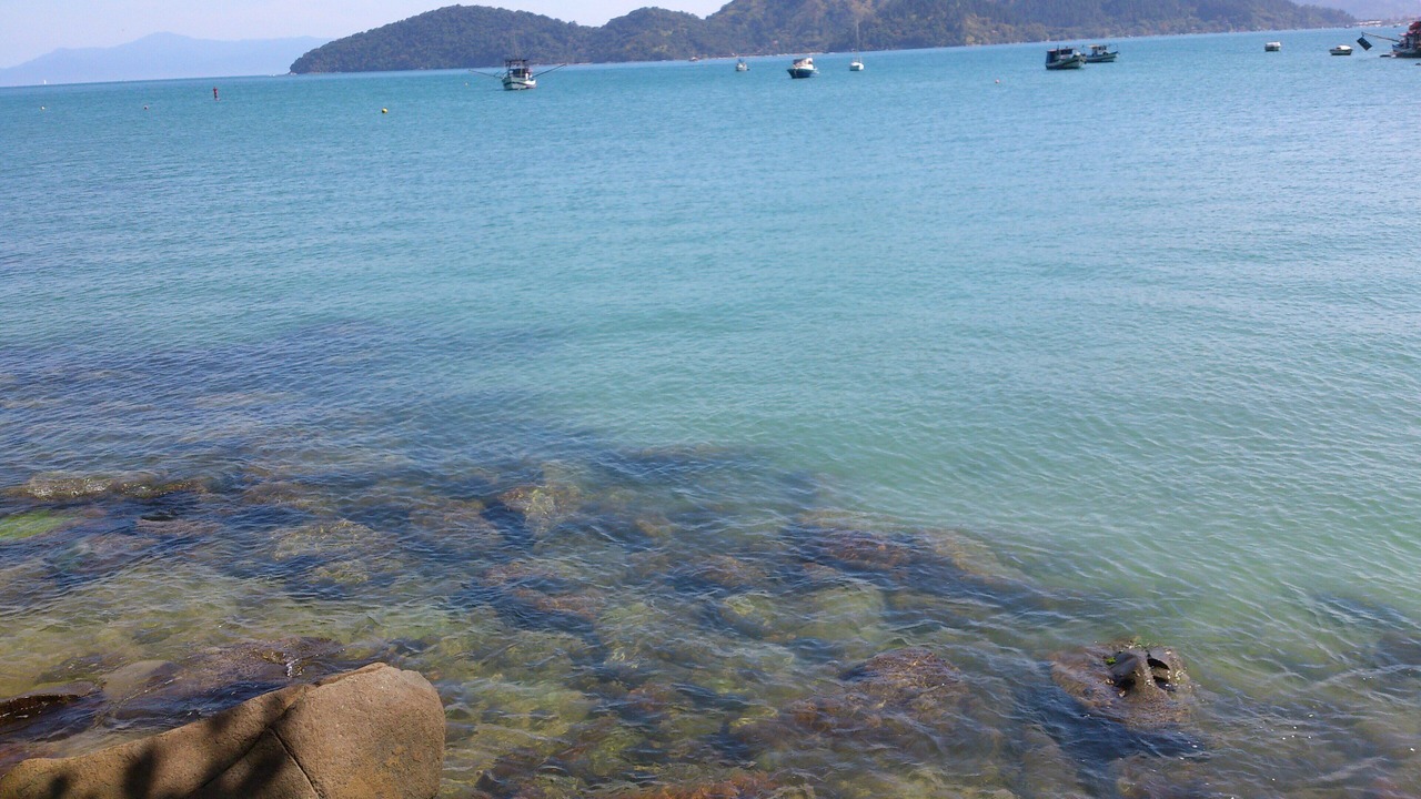 Photo of Others in Praia da Enseada