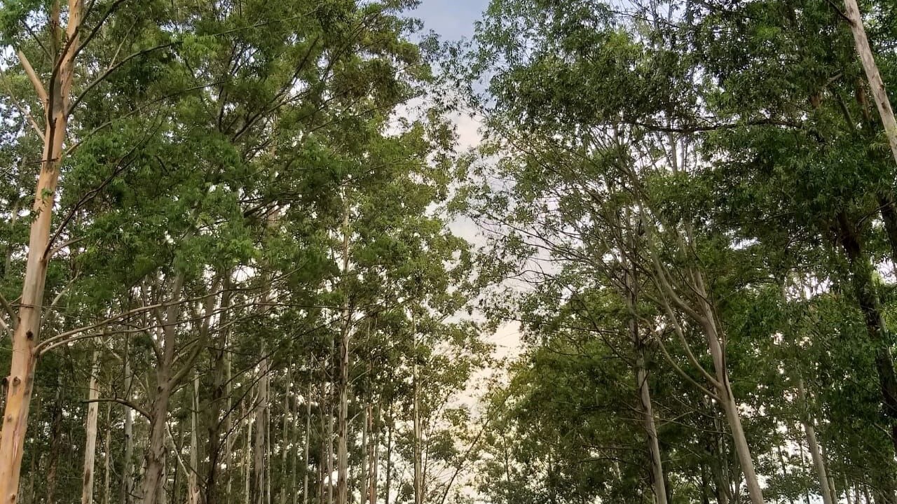 Photo of Outdoor in Centro