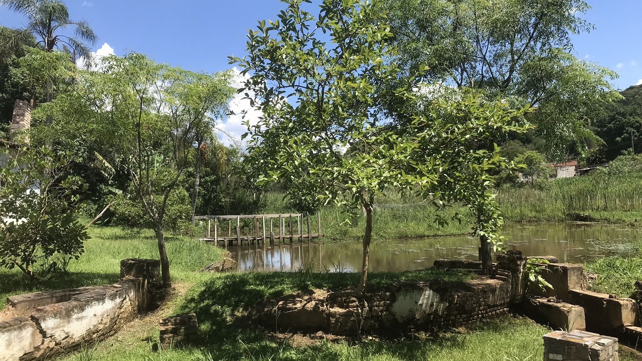 Photo of Outdoor in Mairipora