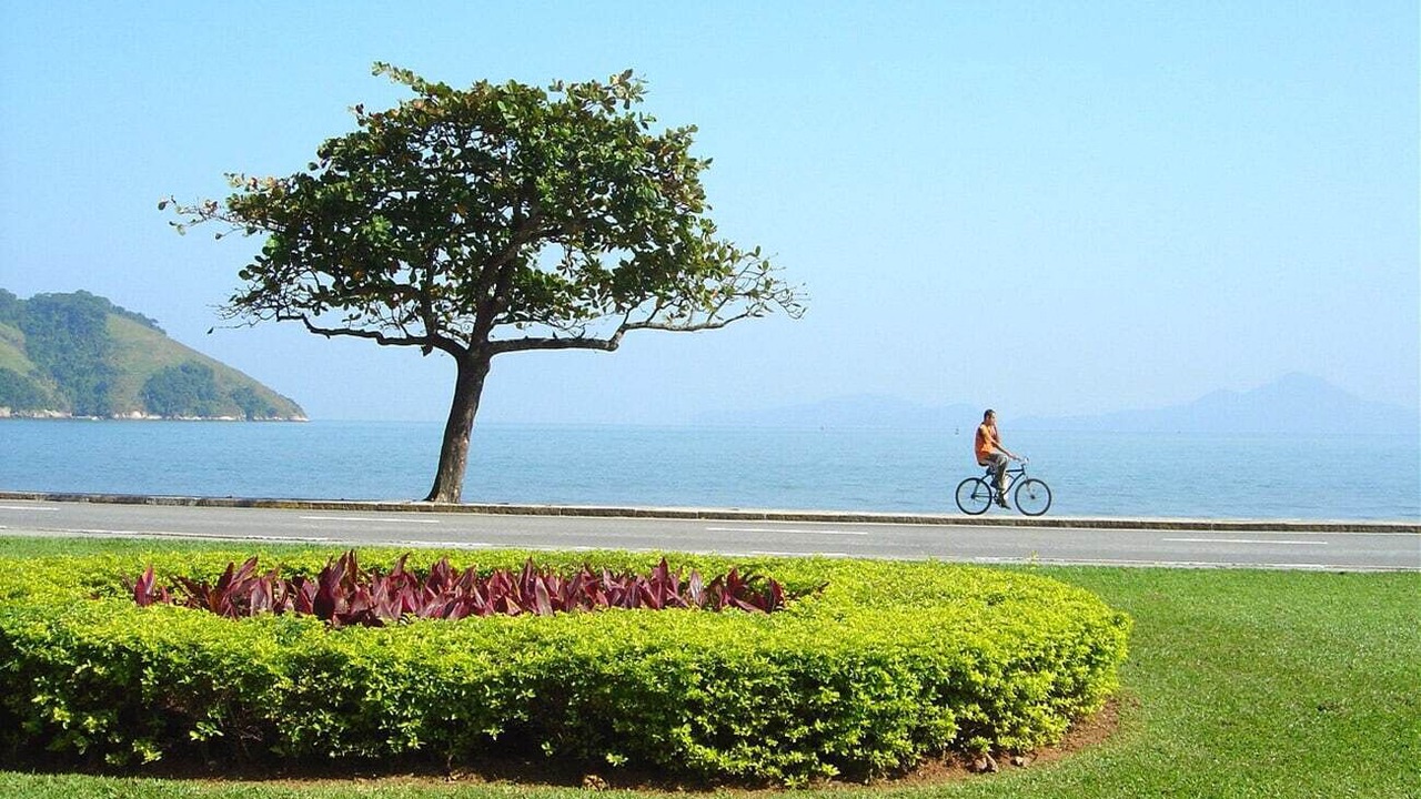Photo of Outdoor in Ponta da Praia