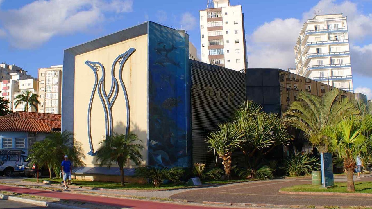 Photo of Outdoor in Ponta da Praia
