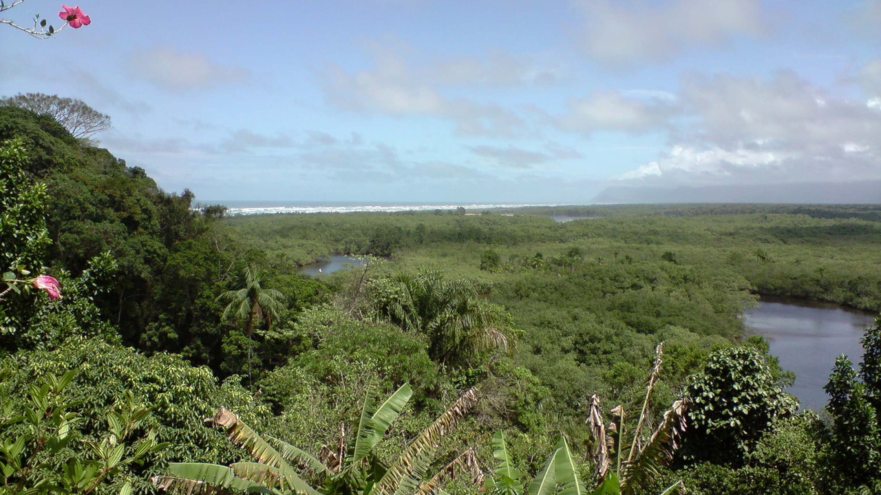 Photo of Outdoor in Guarau