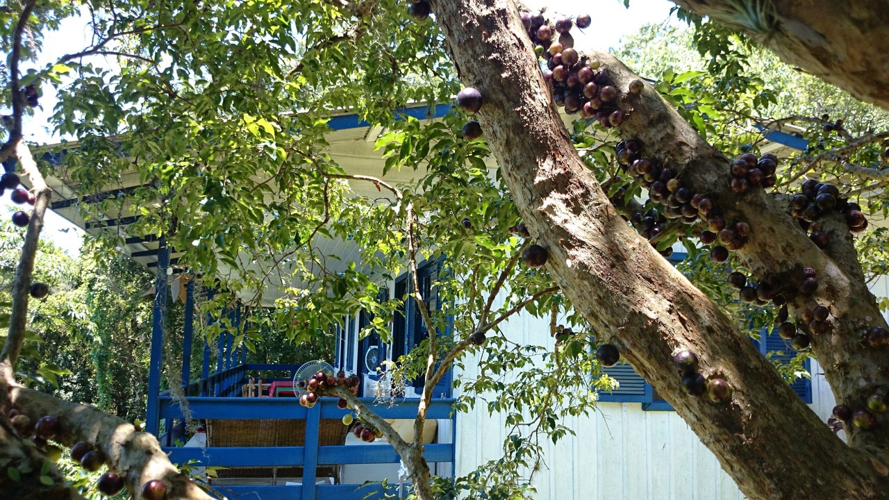 Photo of Outdoor in Governador Celso Ramos