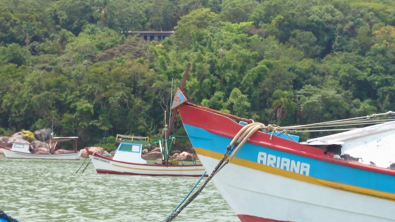 Photo of Outdoor in Governador Celso Ramos