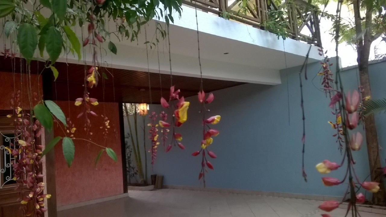 Photo of Outdoor in Barra do Una