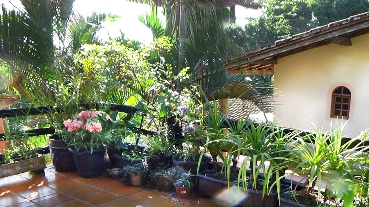 Photo of Outdoor in Picinguaba