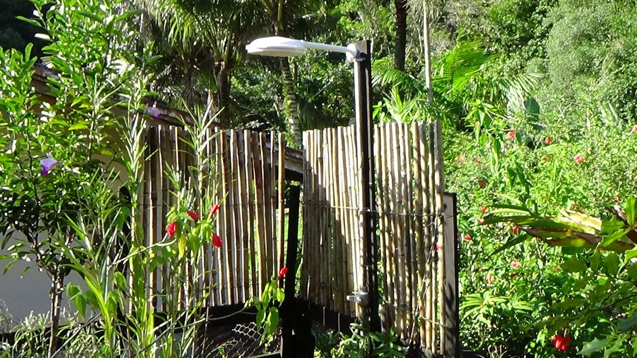 Photo of Outdoor in Picinguaba