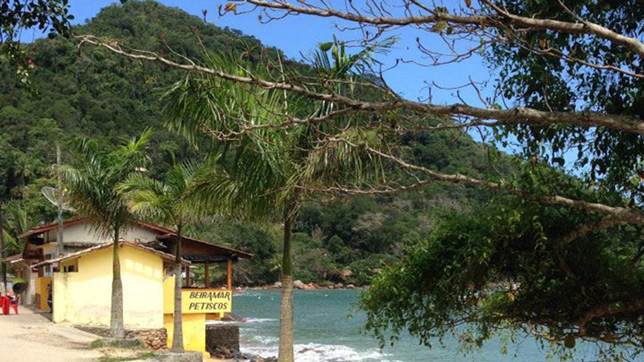 Photo of Others in Picinguaba