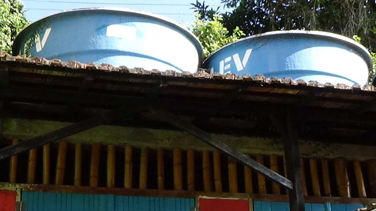 Photo of Outdoor in Picinguaba