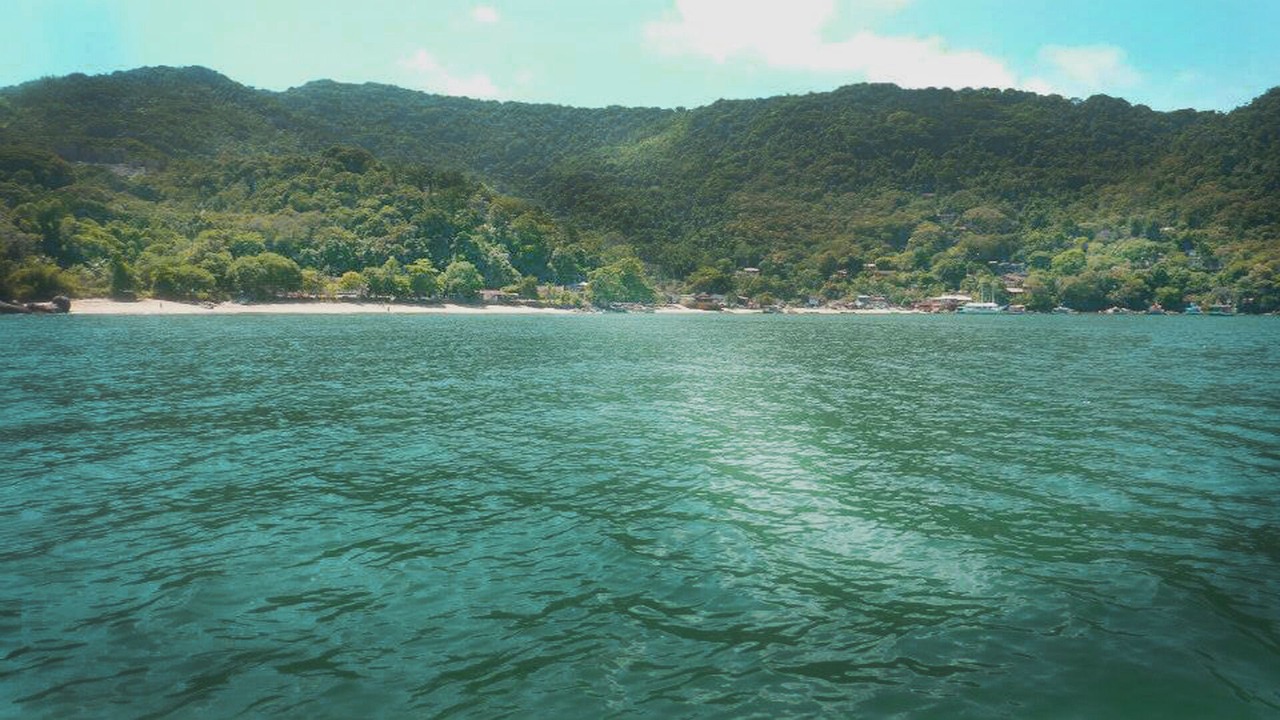 Photo of Others in Picinguaba