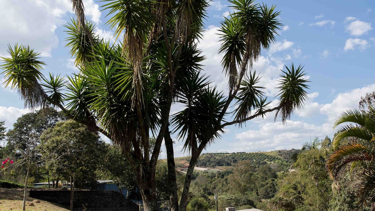 Photo of Outdoor in Caiocara