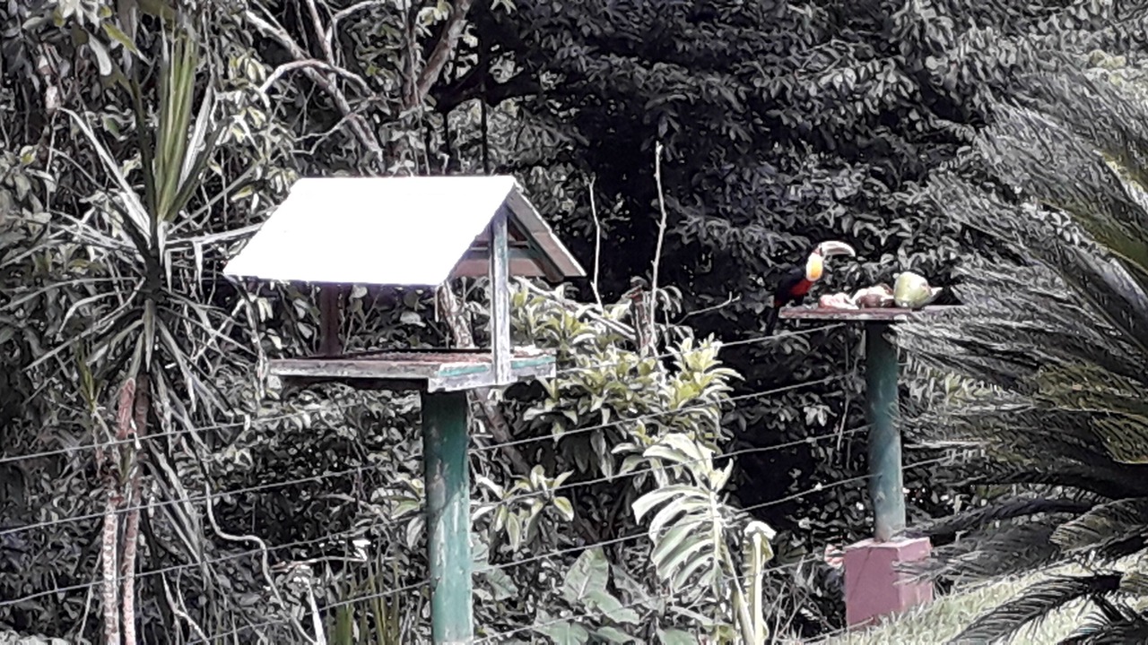 Photo of Others in Costa Bela
