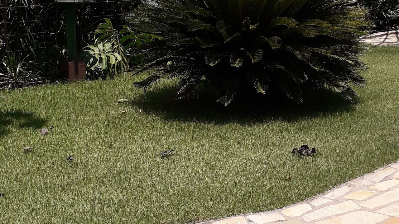 Photo of Outdoor in Costa Bela