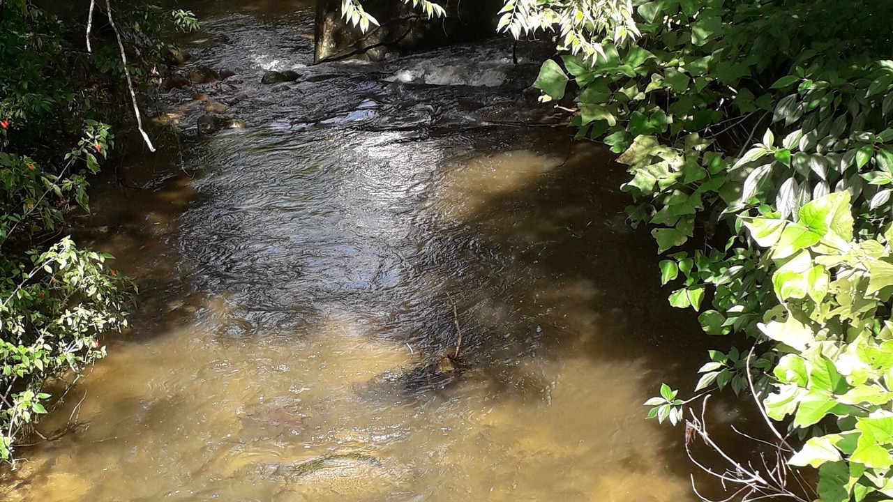 Photo of Outdoor in Costa Bela