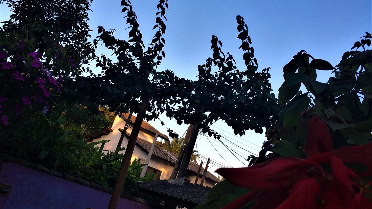 Photo of Outdoor in Guarutuba