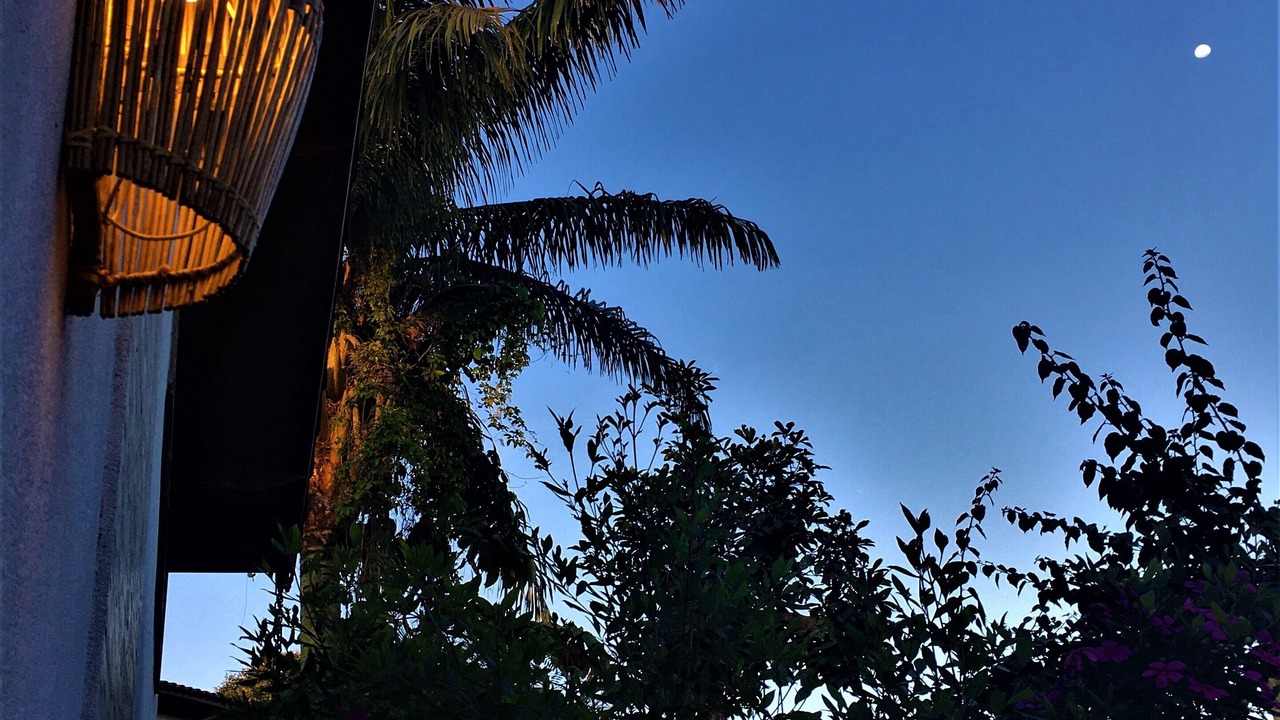Photo of Outdoor in Guarutuba
