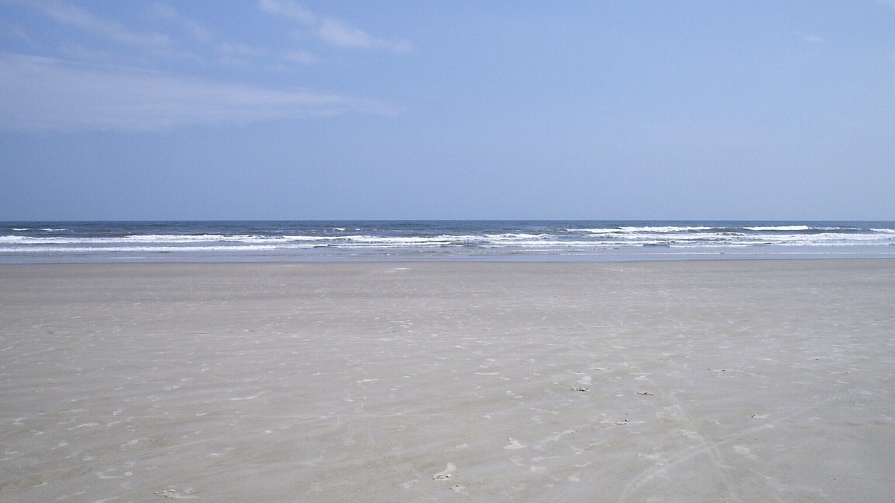Photo of Others in Guarutuba
