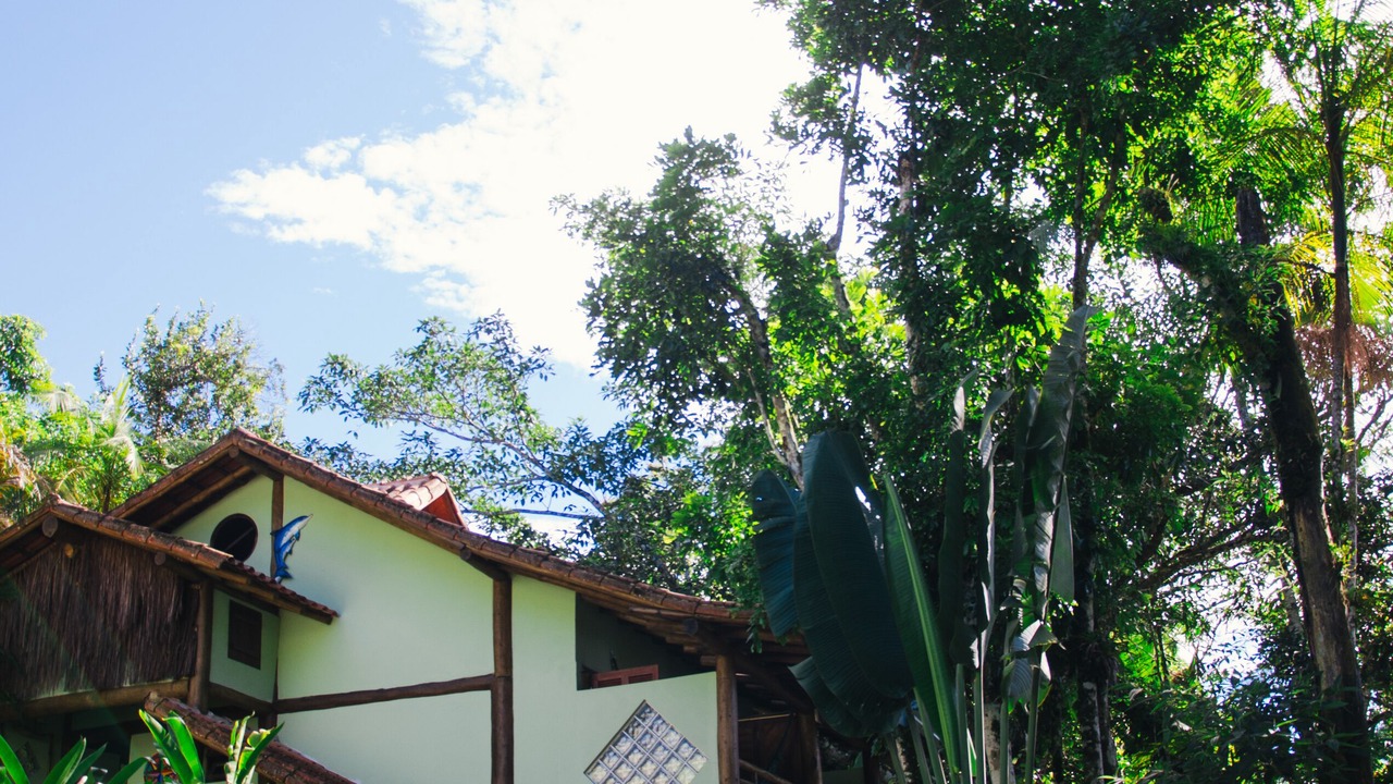 Photo of Outdoor in Felix