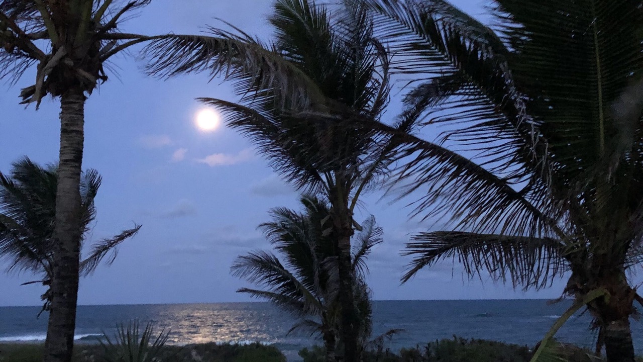Photo of Outdoor in Barra de Tabatinga