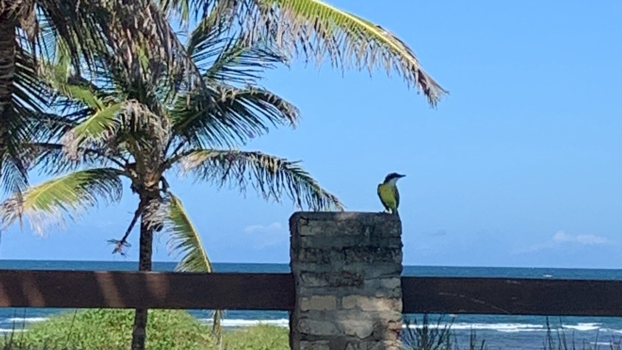 Photo of Outdoor in Barra de Tabatinga