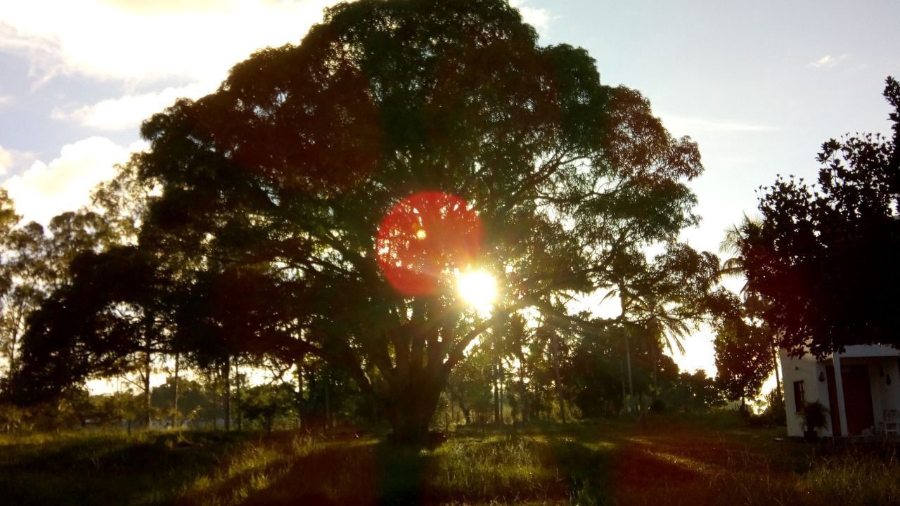 Photo of Outdoor in Porto Seguro