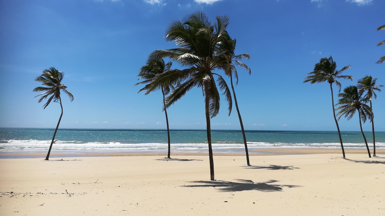 Photo of Others in Pecém