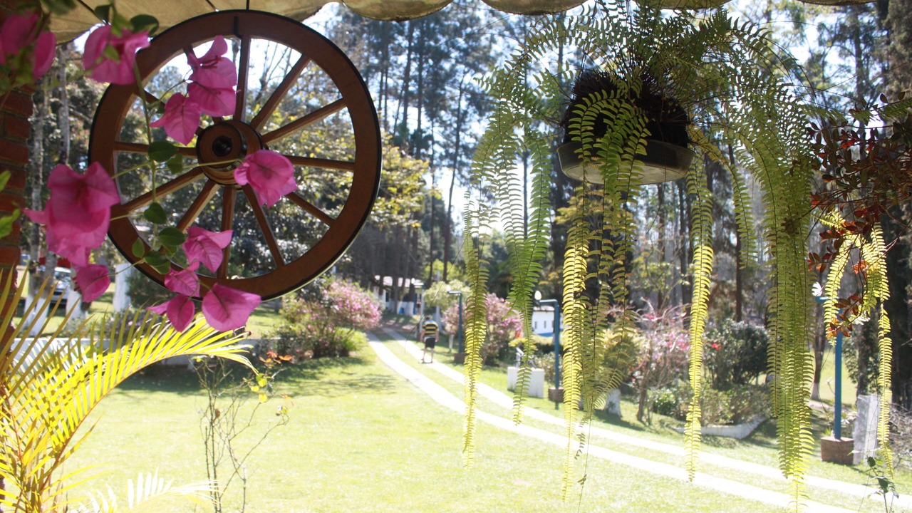 Photo of Outdoor in Mato do Gado