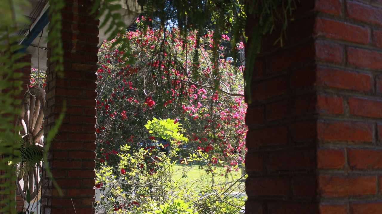 Photo of Outdoor in Mato do Gado