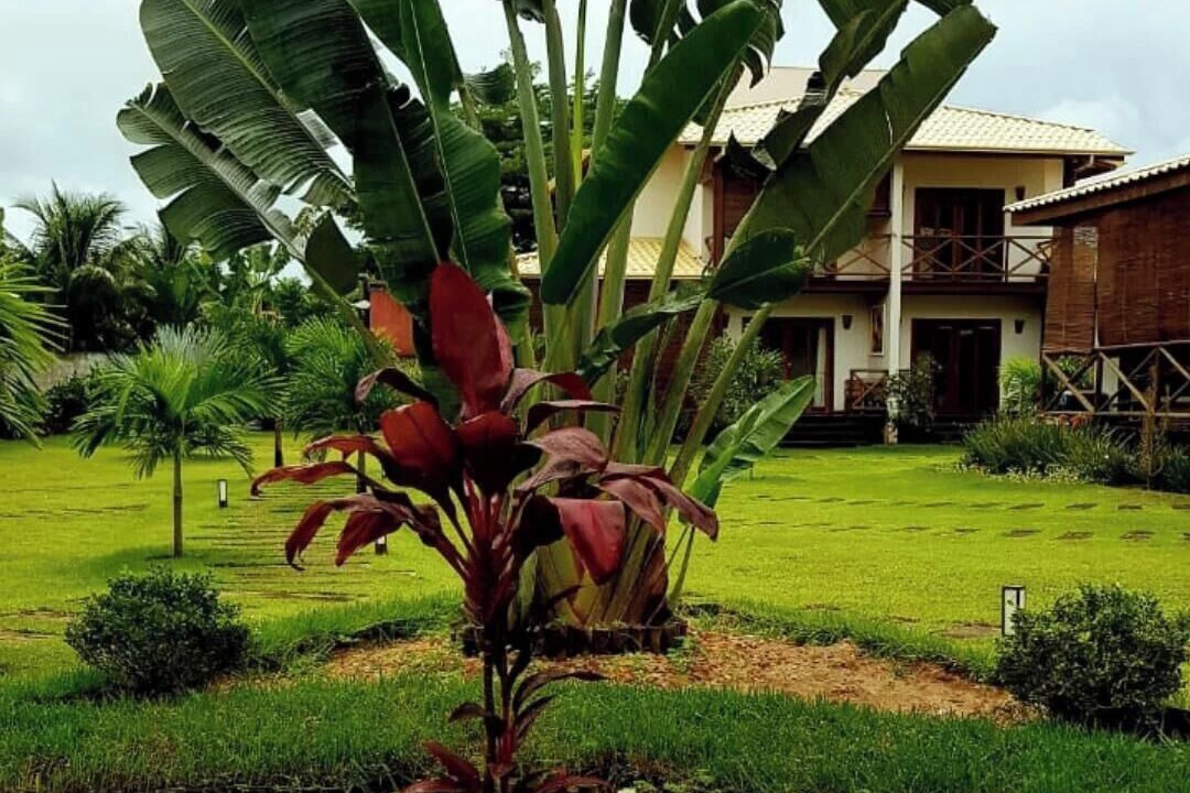 Photo of Outdoor in Barra Grande