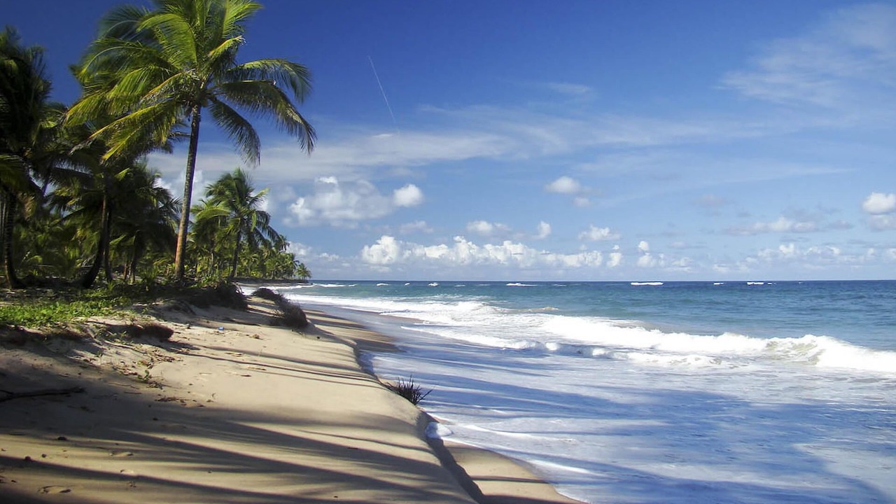 Photo of Others in Barra Grande