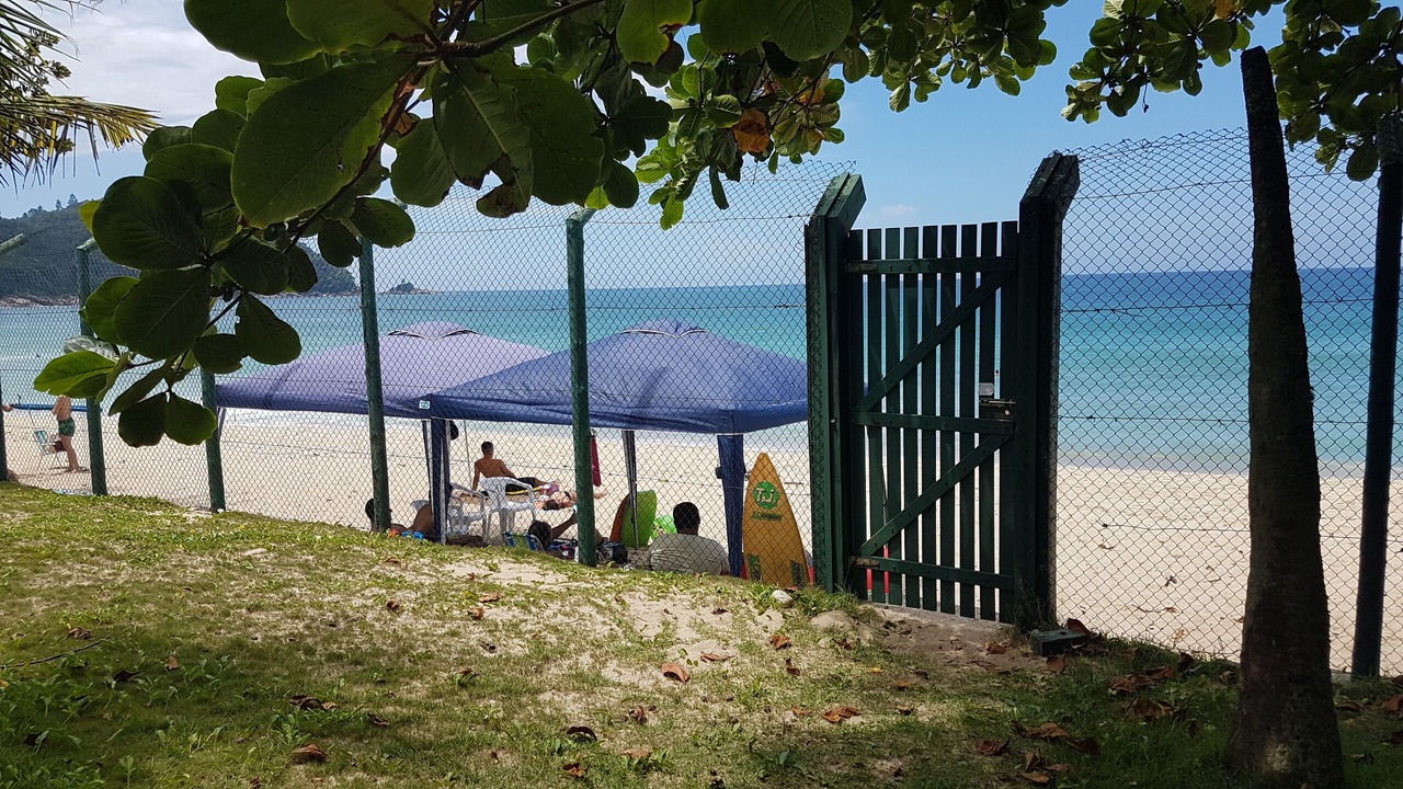 Photo of Others in Tenorio