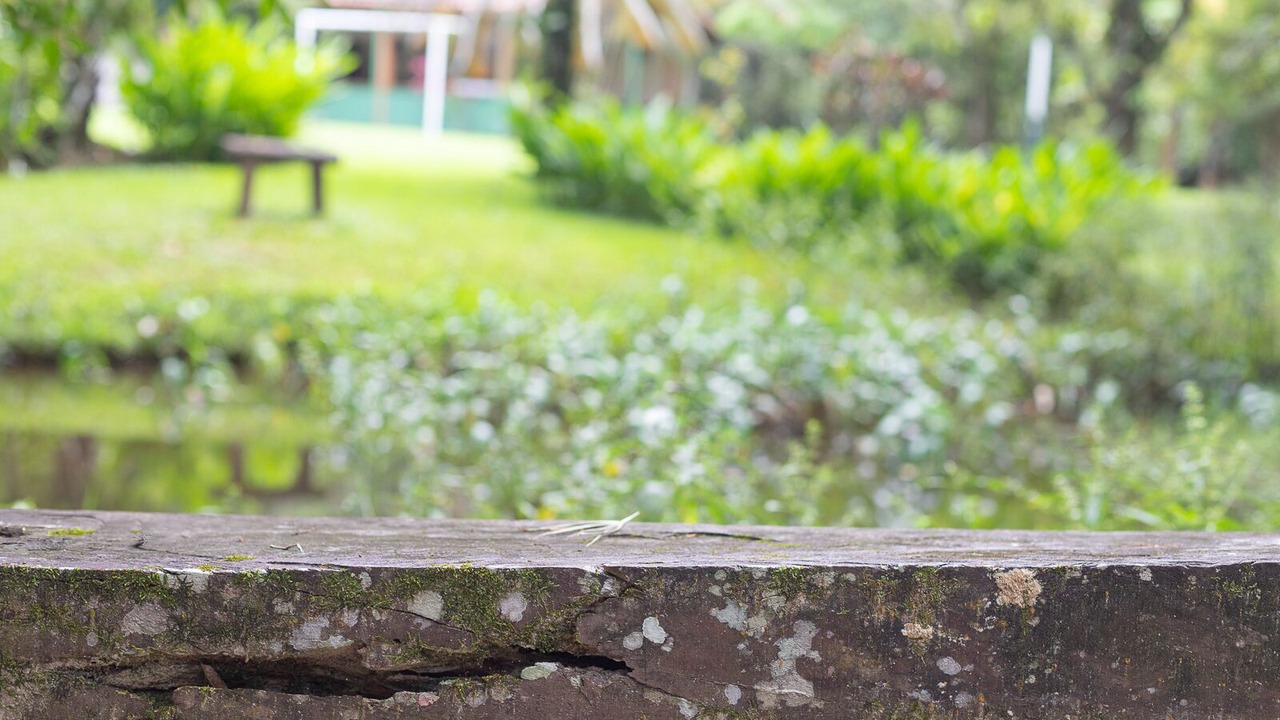 Photo of Outdoor in Barra do Sahy
