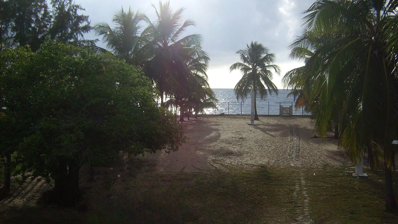 Photo of Others in Itacimirim